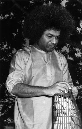 Beloved Bhagawan Sri Sathya Sai Baba